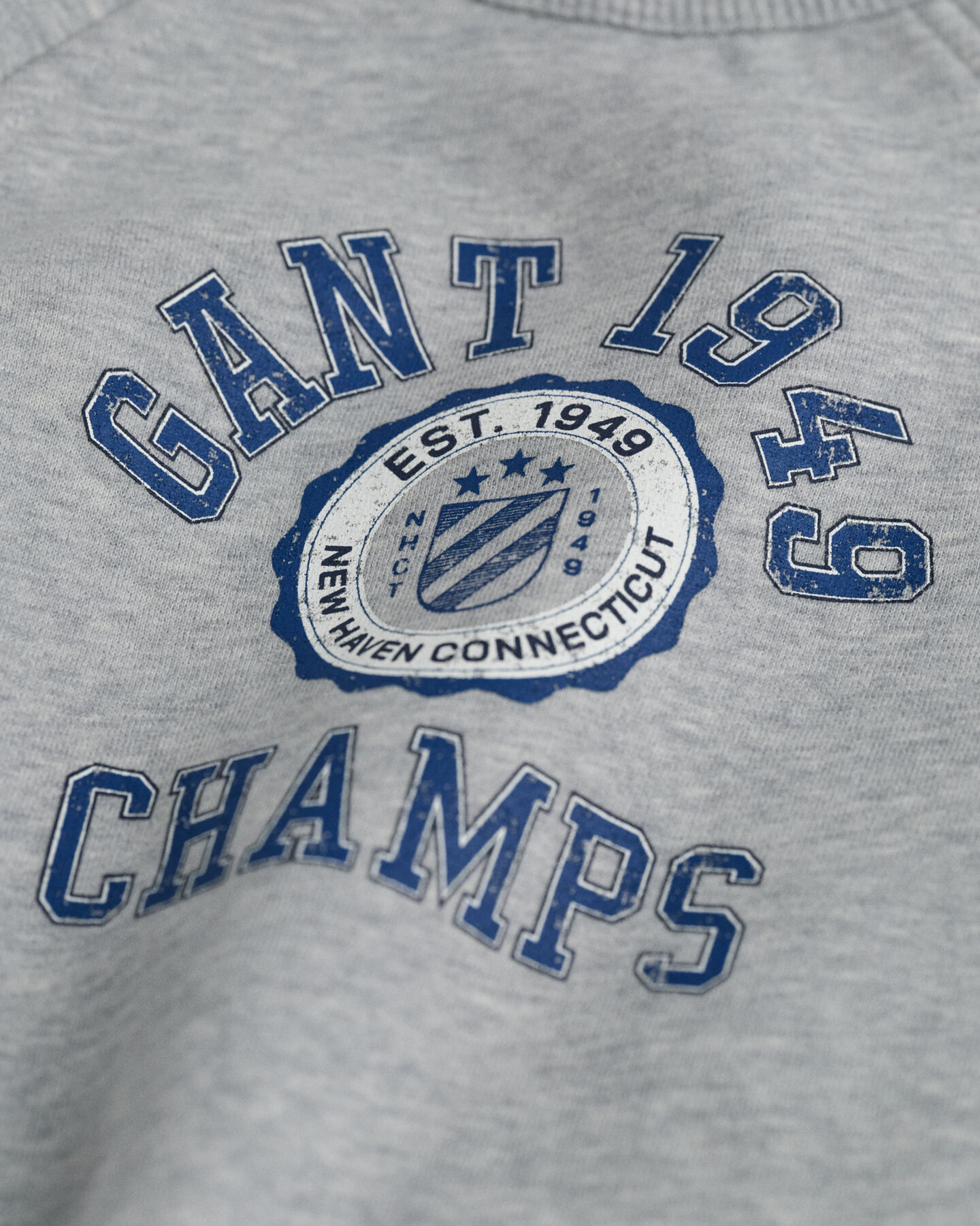 Kids Graphic sweatshirt med crewneck