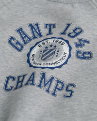 Kids Graphic sweatshirt med crewneck