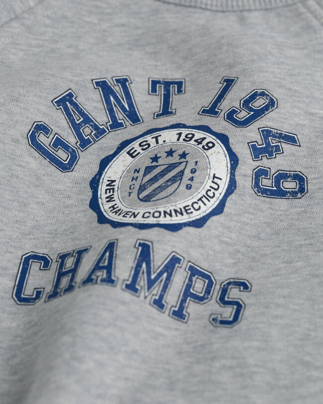 Kids Graphic sweatshirt med crewneck