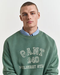 Graphic sweatshirt med crewneck