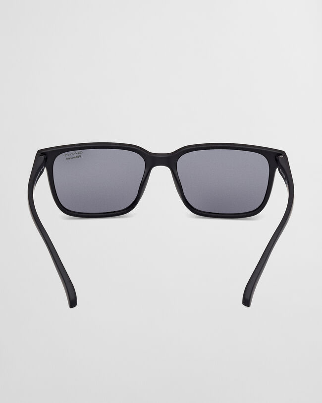 GA00019 Robin solbriller