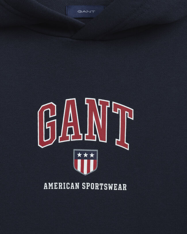 Teens Retro Shield hættetrøje