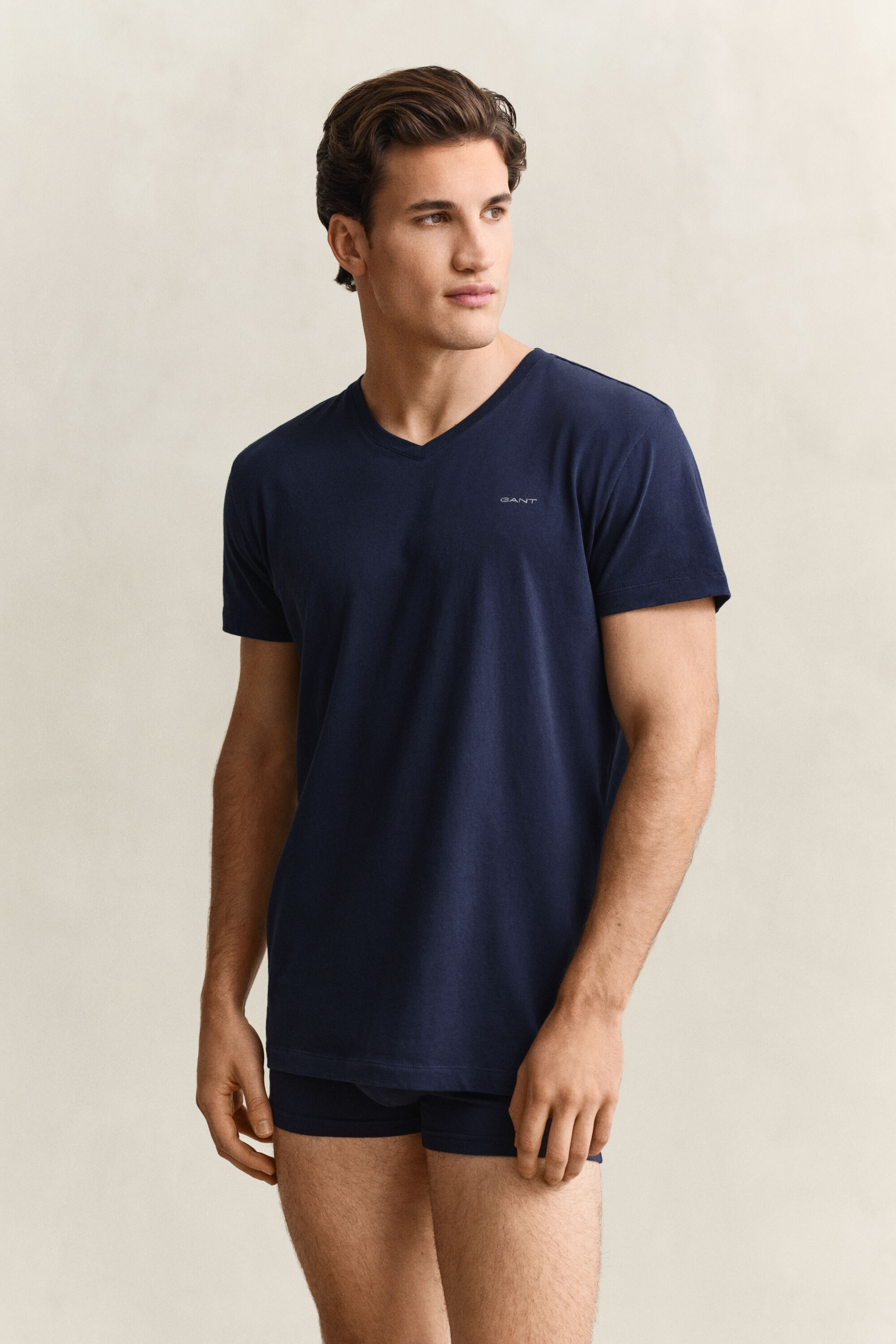 2-Pack T-shirts med V-hals