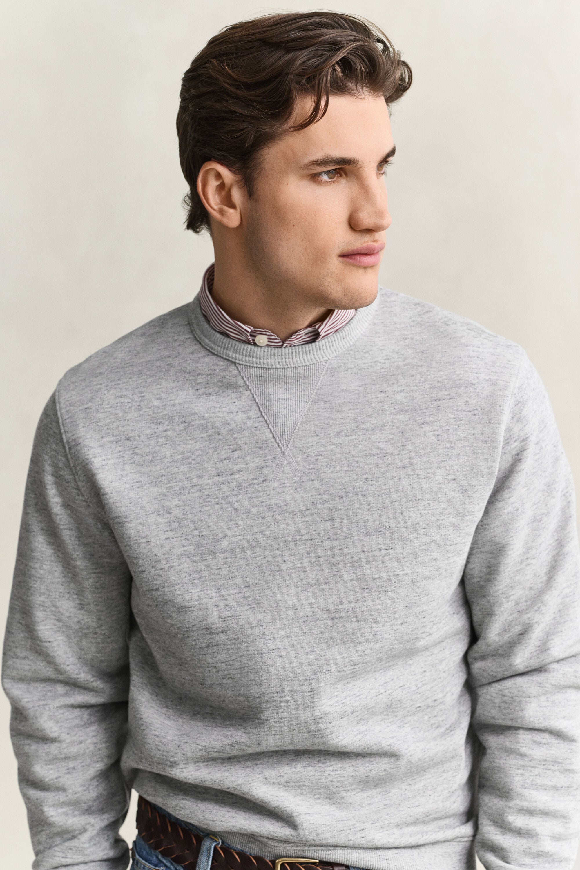 Meleret sweatshirt med crewneck