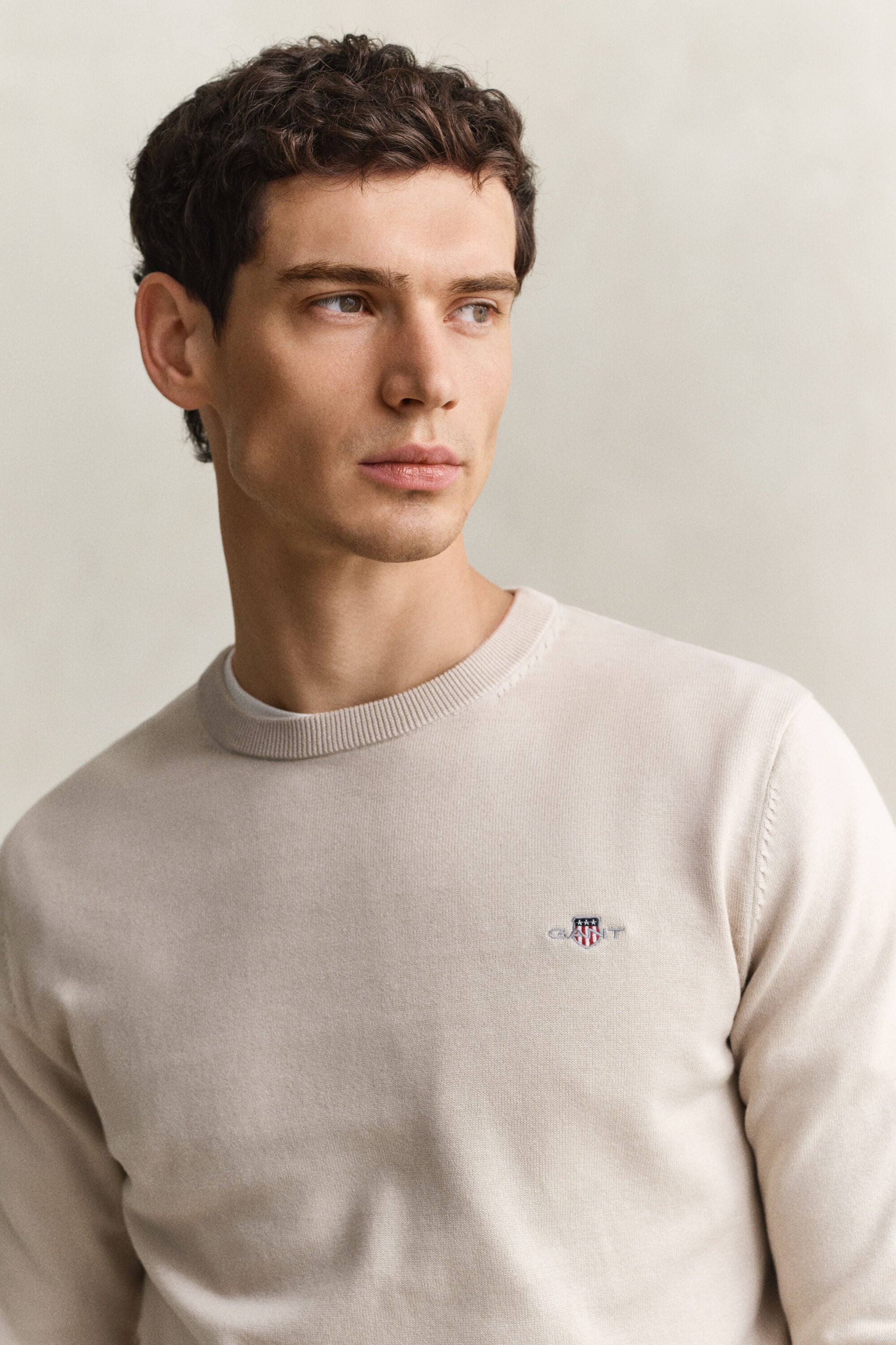 Klassiske crewneck sweater i bomuld