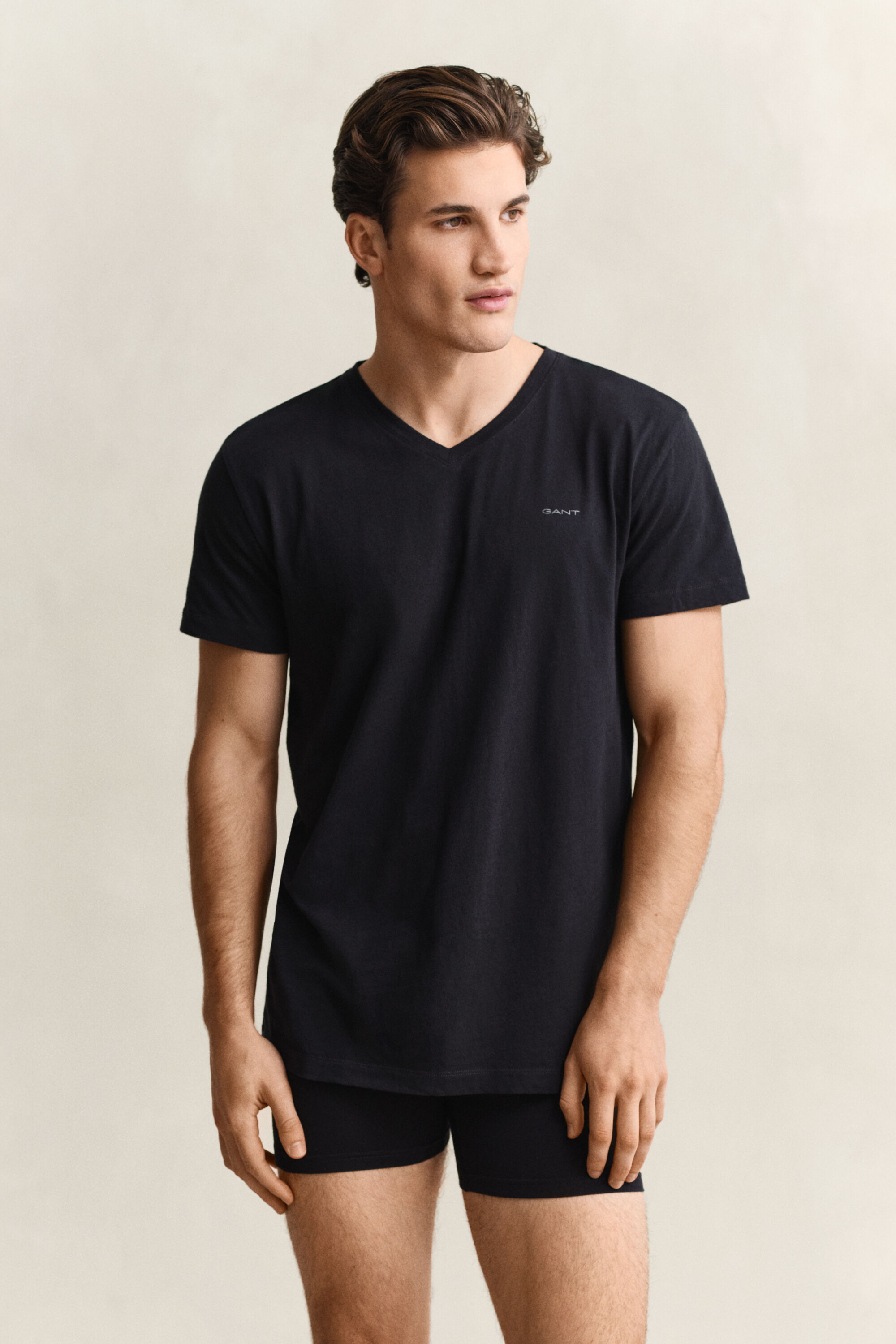 2-Pack T-shirts med V-hals