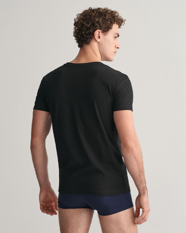 2-Pack T-shirts med V-hals