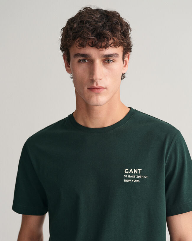 Small GANT Graphic T-shirt