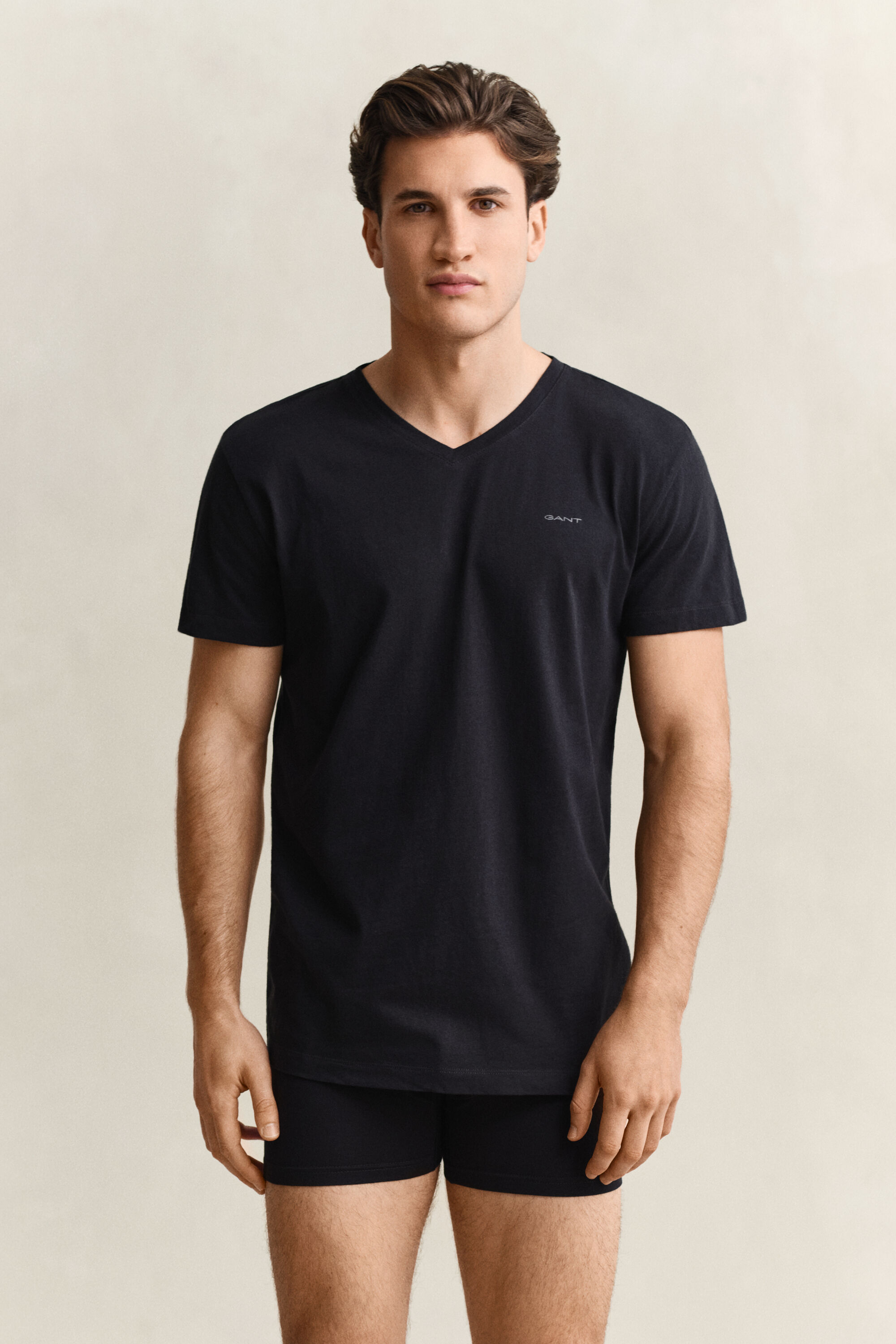 2-Pack T-shirts med V-hals