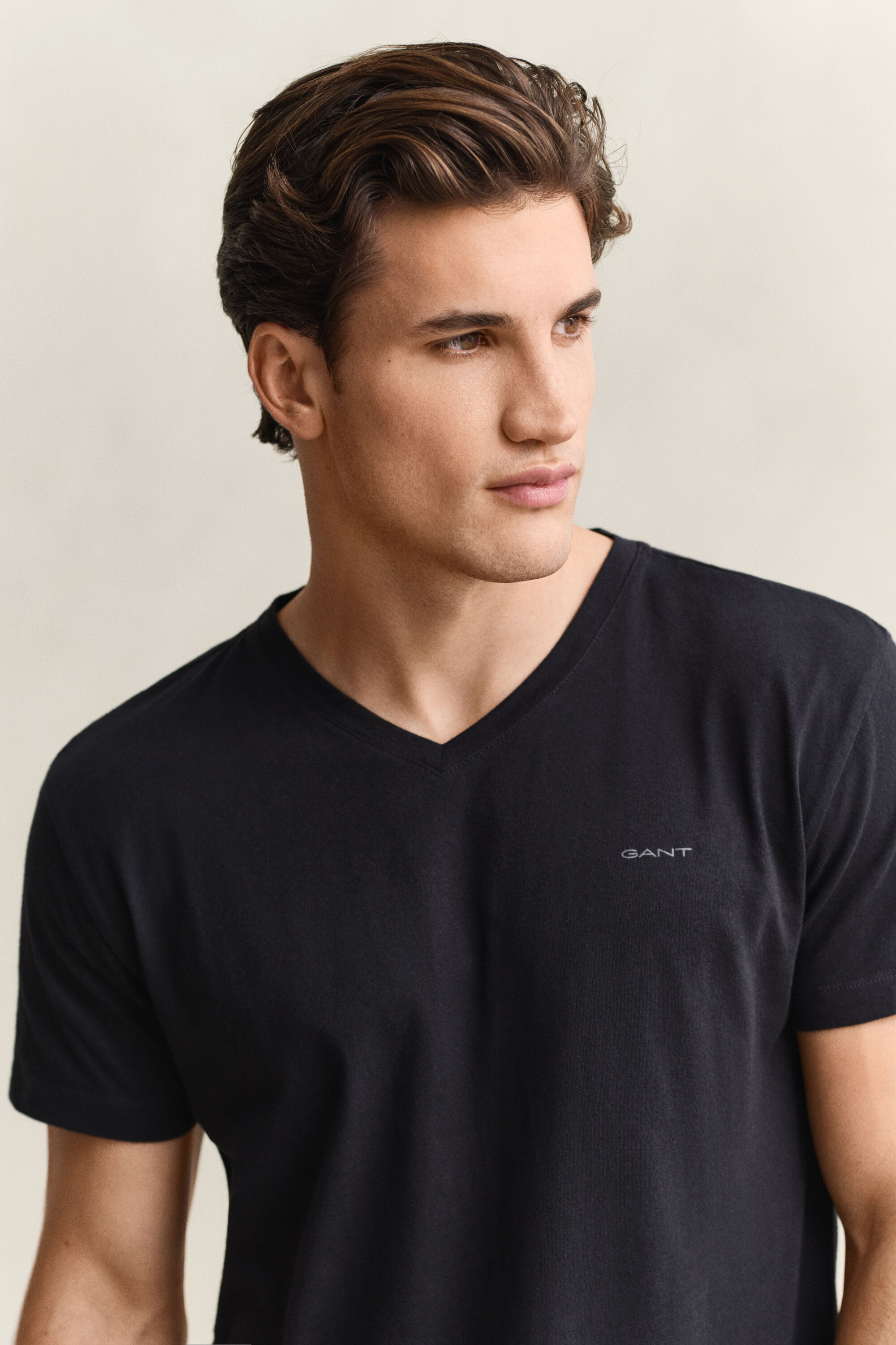 2-Pack T-shirts med V-hals