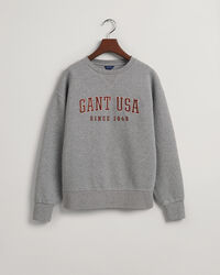 USA Graphic sweatshirt med crewneck