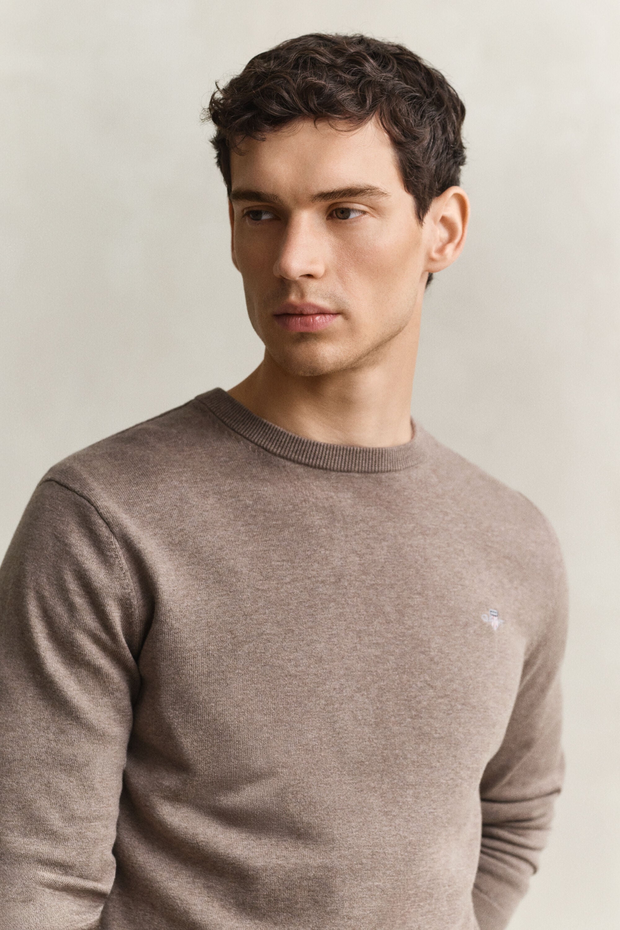 Klassiske crewneck sweater i bomuld