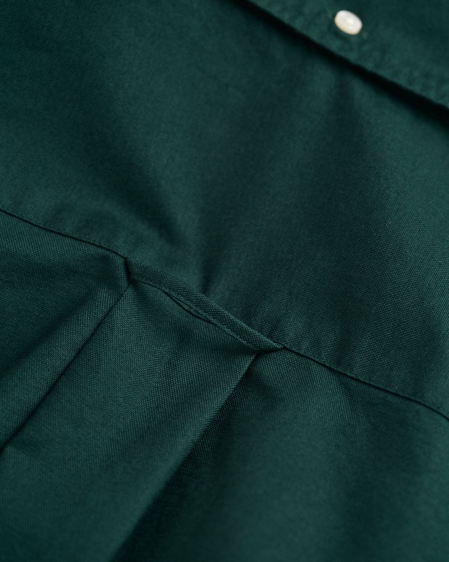 Regular Fit Beefy Oxford Shirt