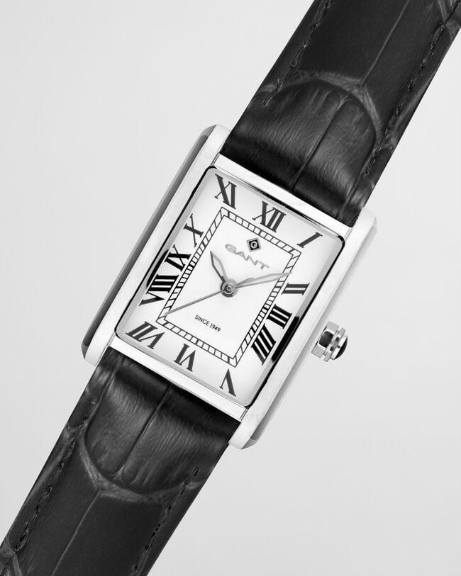 Rhode Island Mini ur