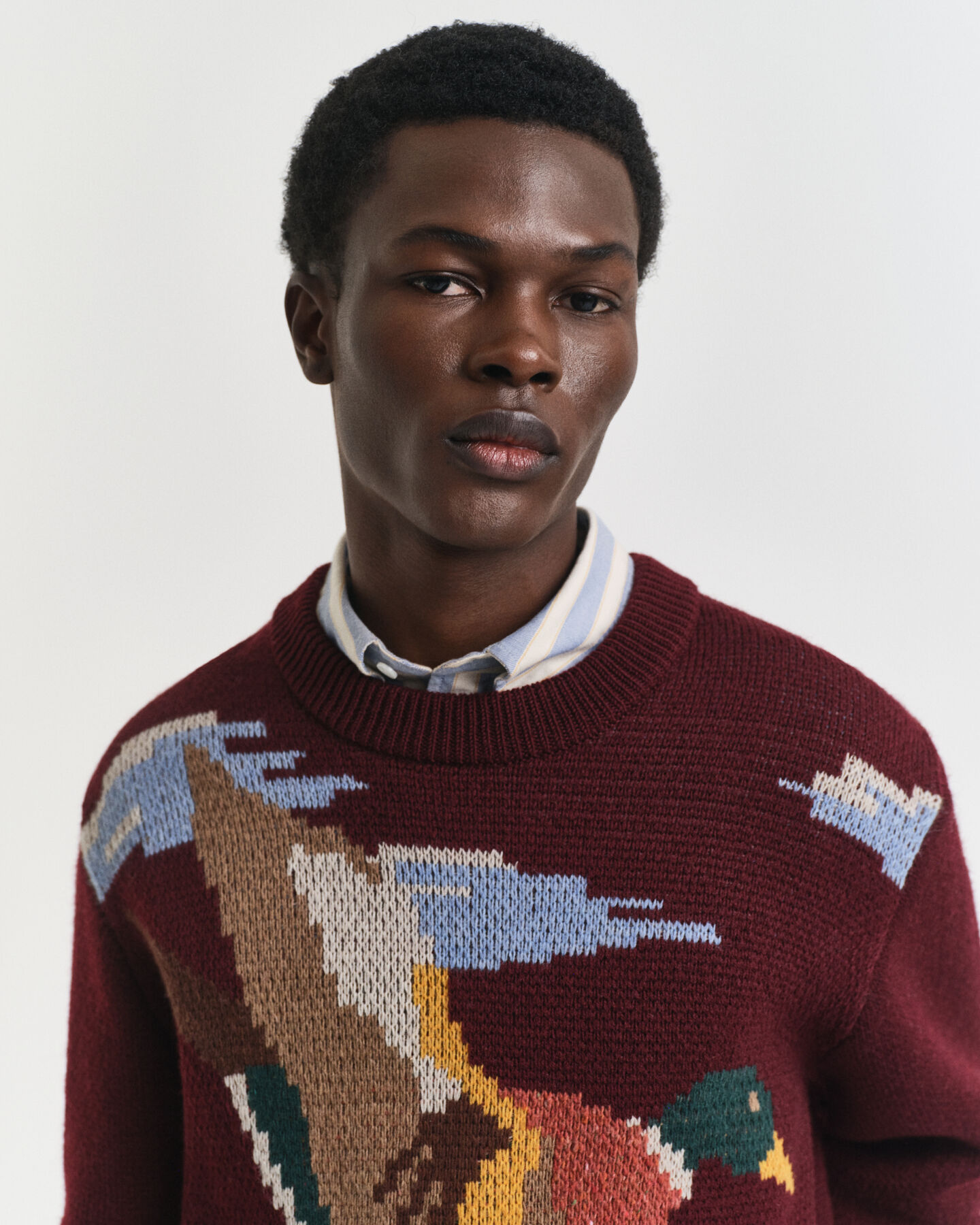 Sweater med fuglegrafik og crewneck