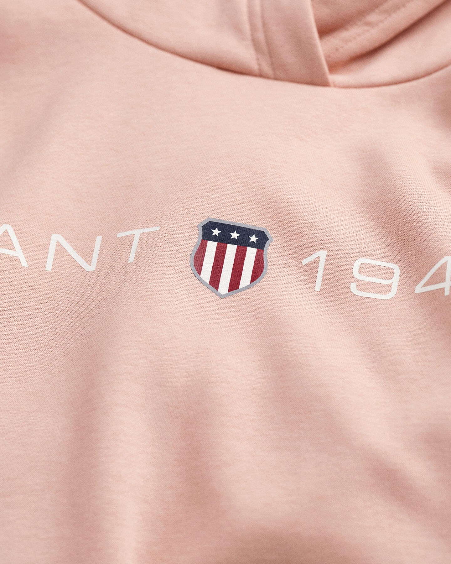 Archive Shield hættetrøje med tryk