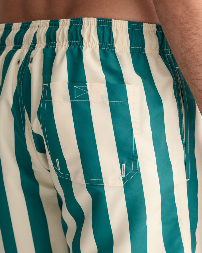 Block Striped Swim Shorts