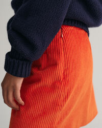 Mini nederdel af jernbanefløjl