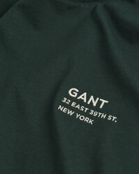 Small GANT Graphic T-shirt