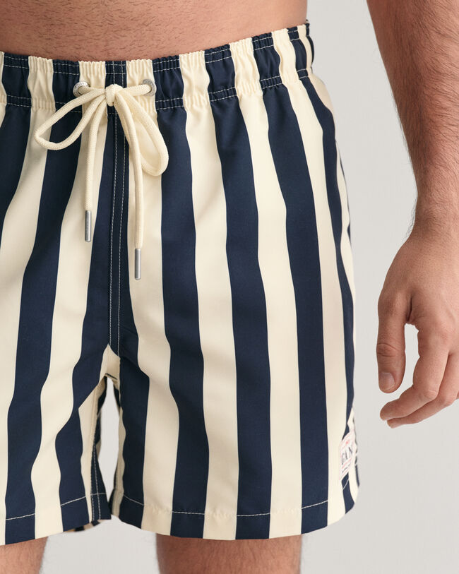 Block Striped Swim Shorts