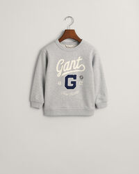 Kids Graphic sweatshirt med crewneck