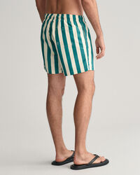 Block Striped Swim Shorts