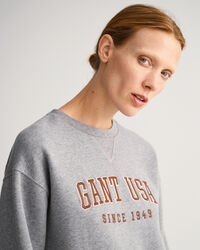 USA Graphic sweatshirt med crewneck