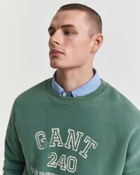 Graphic sweatshirt med crewneck