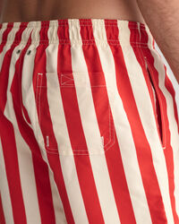 Block Striped Swim Shorts
