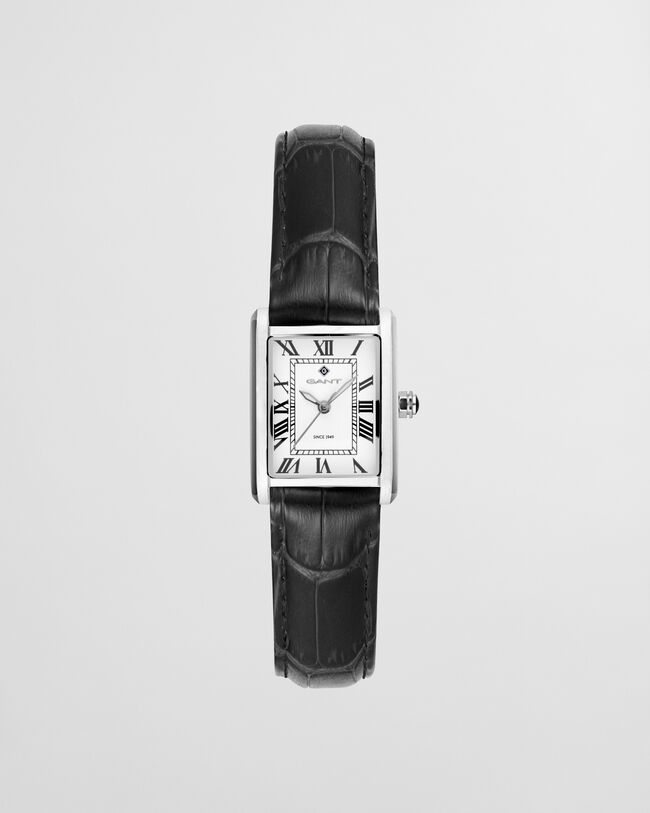 Rhode Island Mini ur