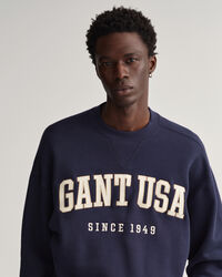 USA Graphic sweatshirt med crewneck