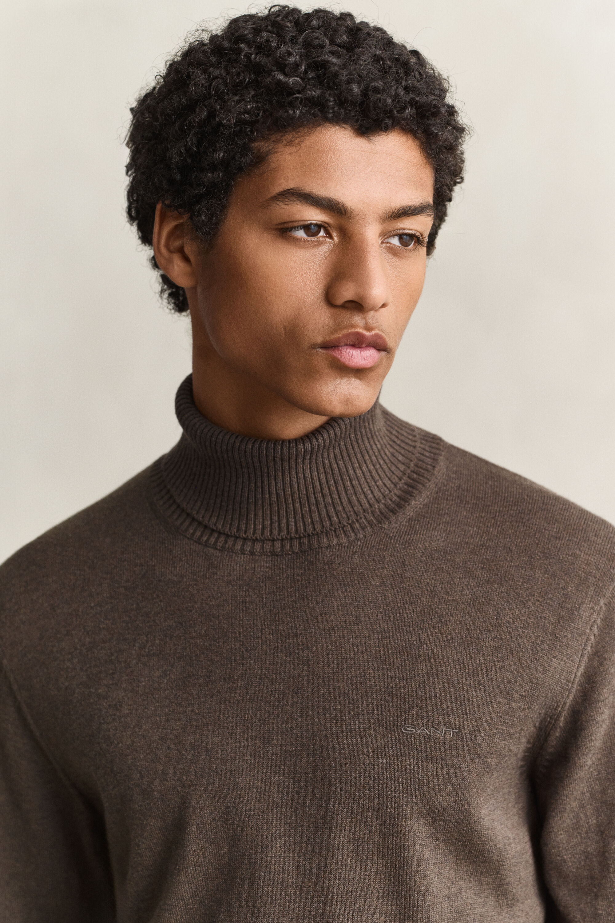 Sweater i bomuld og uld med rullekrave