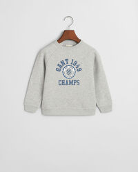 Kids Graphic sweatshirt med crewneck