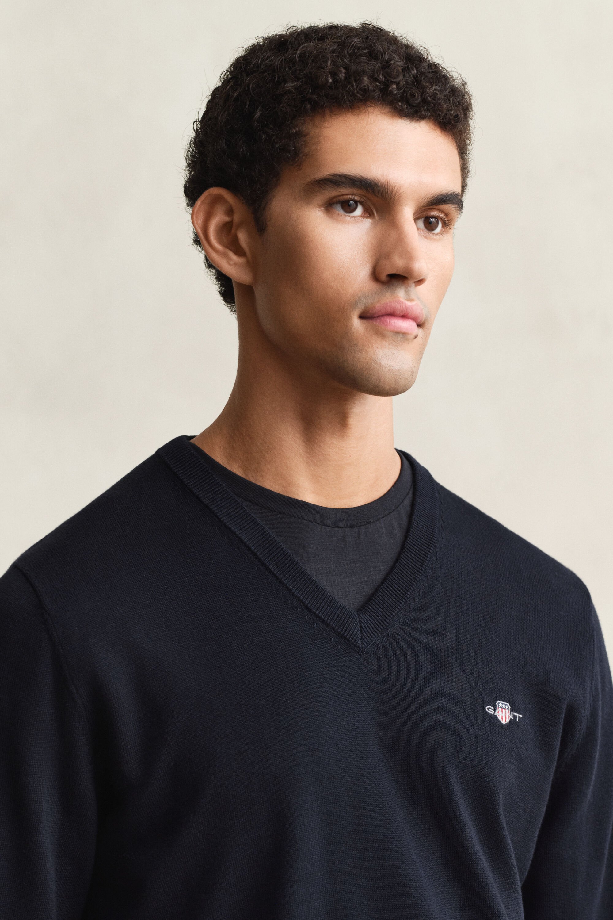 Klassiske sweater i bomuld med V-hals