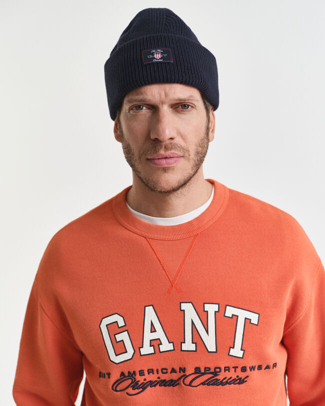 Sweatshirt med college-grafik og crewneck