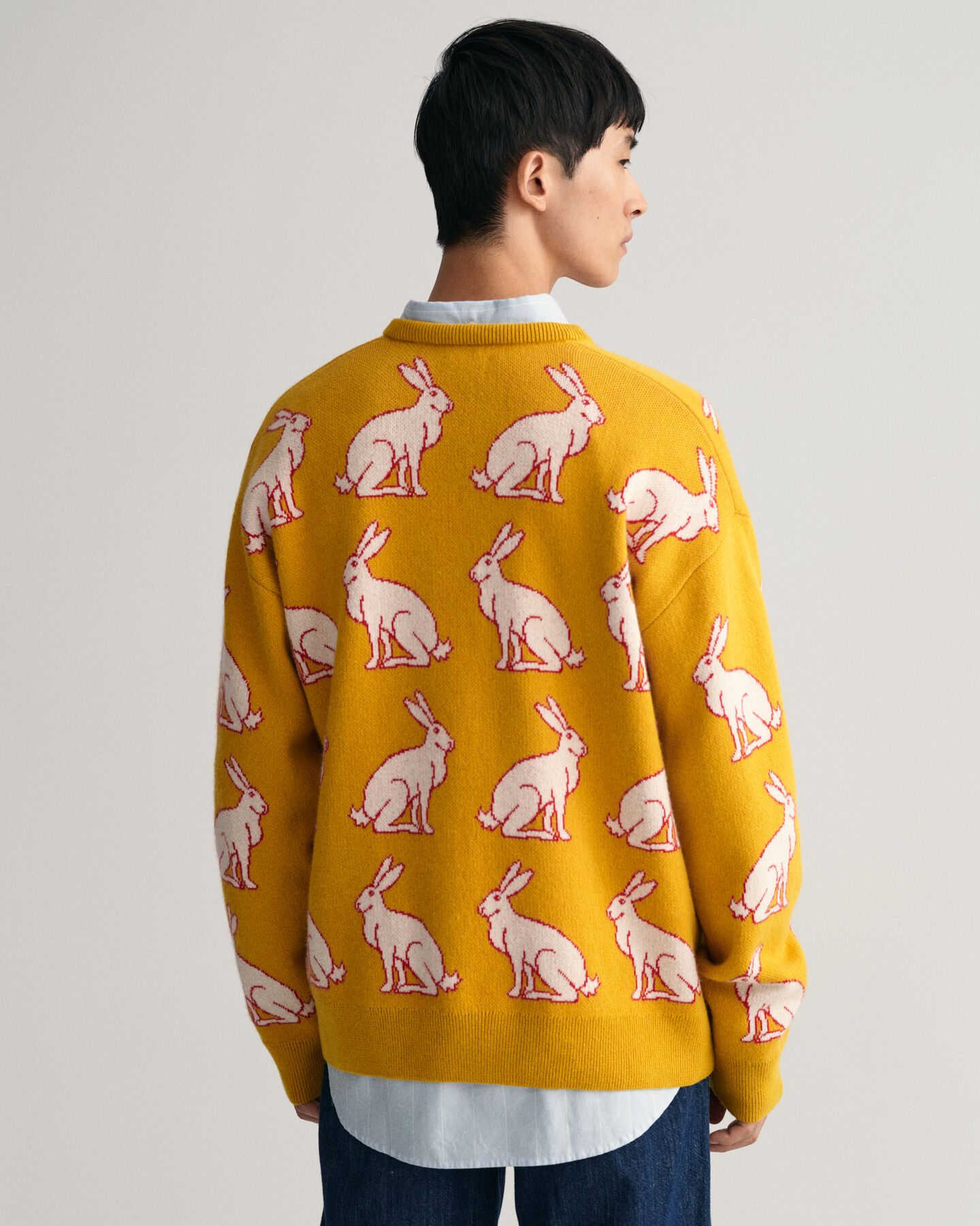 Lunar New Year sweater med V-hals