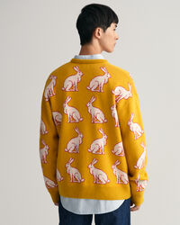 Lunar New Year sweater med V-hals