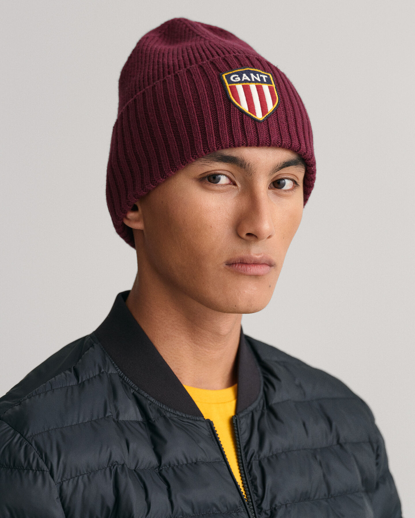 Banner Shield beanie