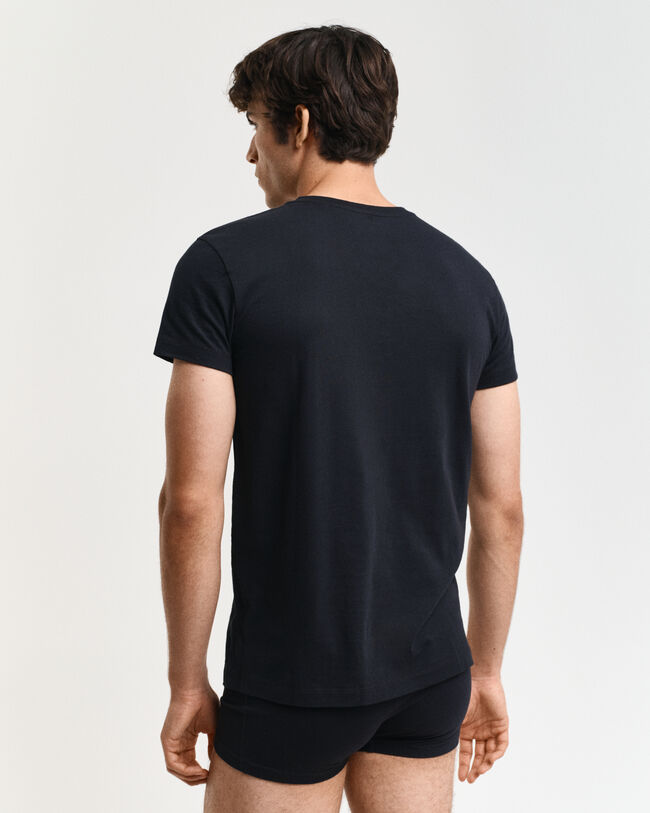 2-Pack T-shirts med V-hals