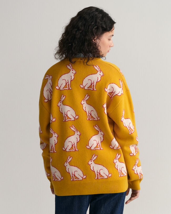 Lunar New Year sweater med V-hals