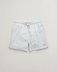 Seersucker Swim Shorts