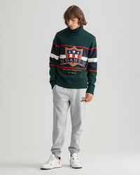 Banner Shield sweater med rullekrave