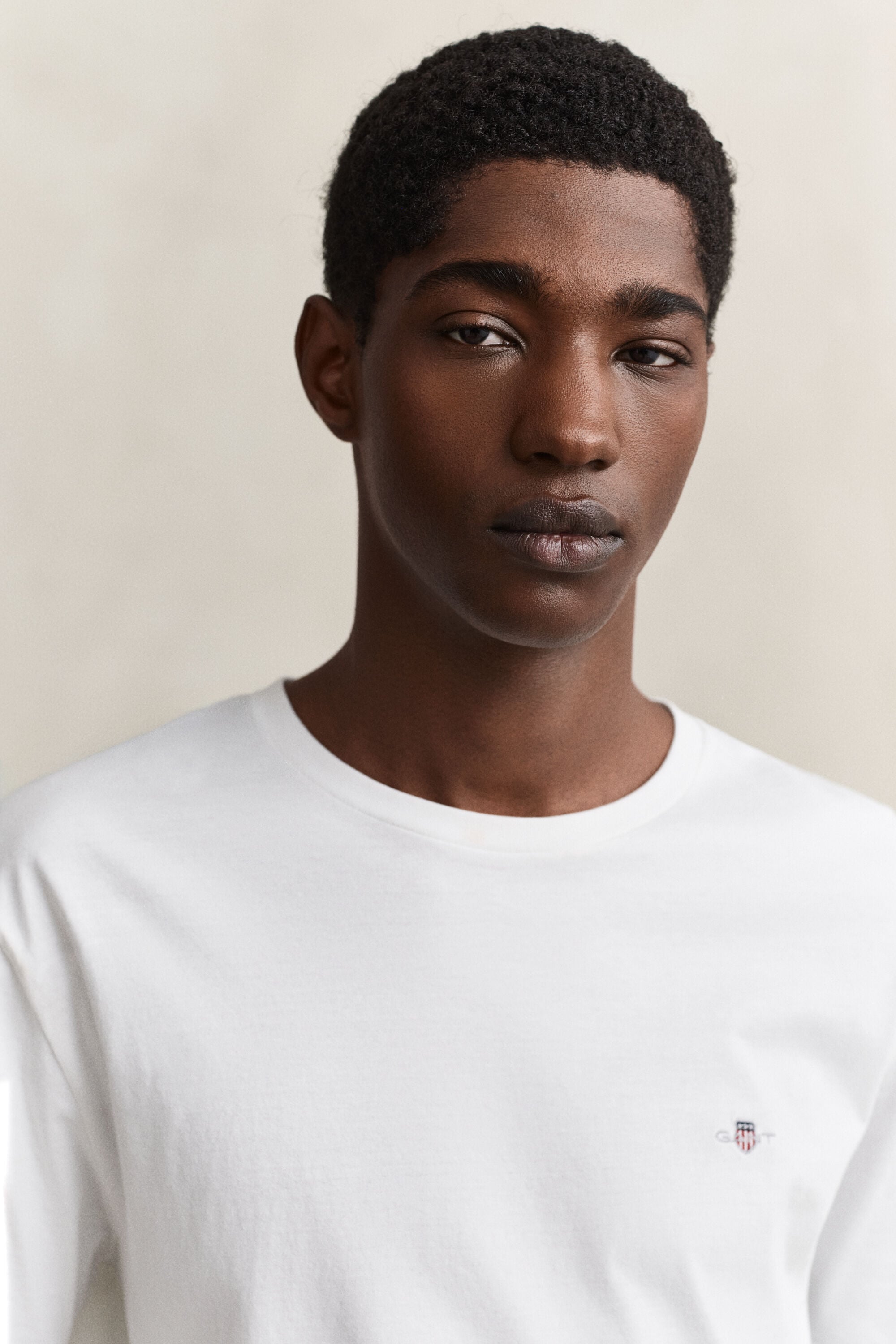 Regular T-shirt med skjold