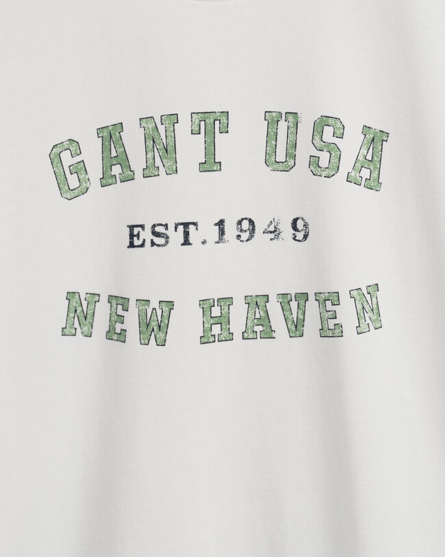 Teen Boys USA Graphic T-shirt