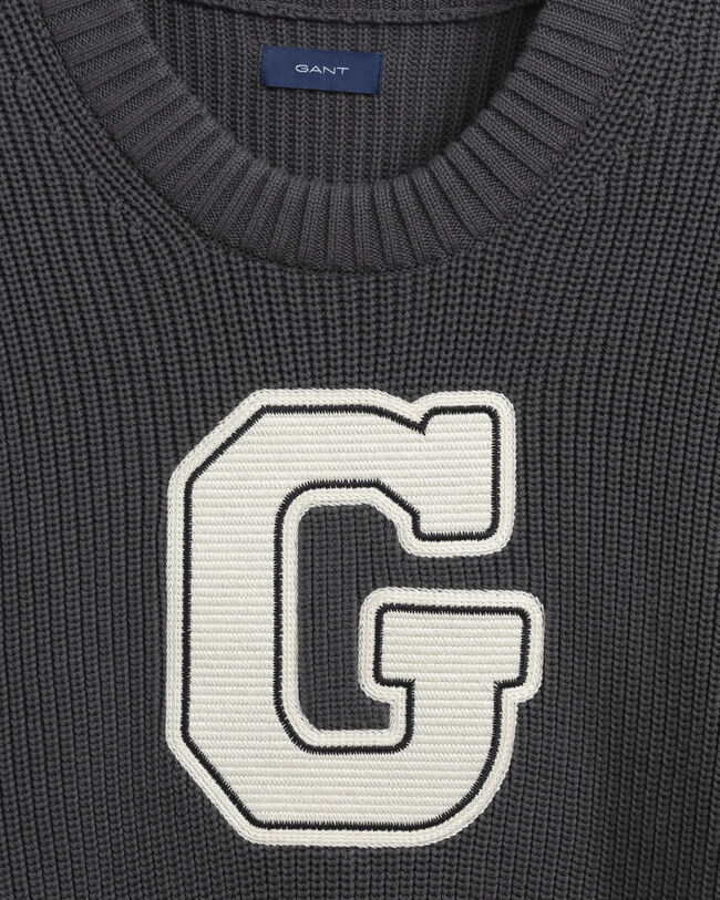 Teen Boys Collegiate sweater med crewneck