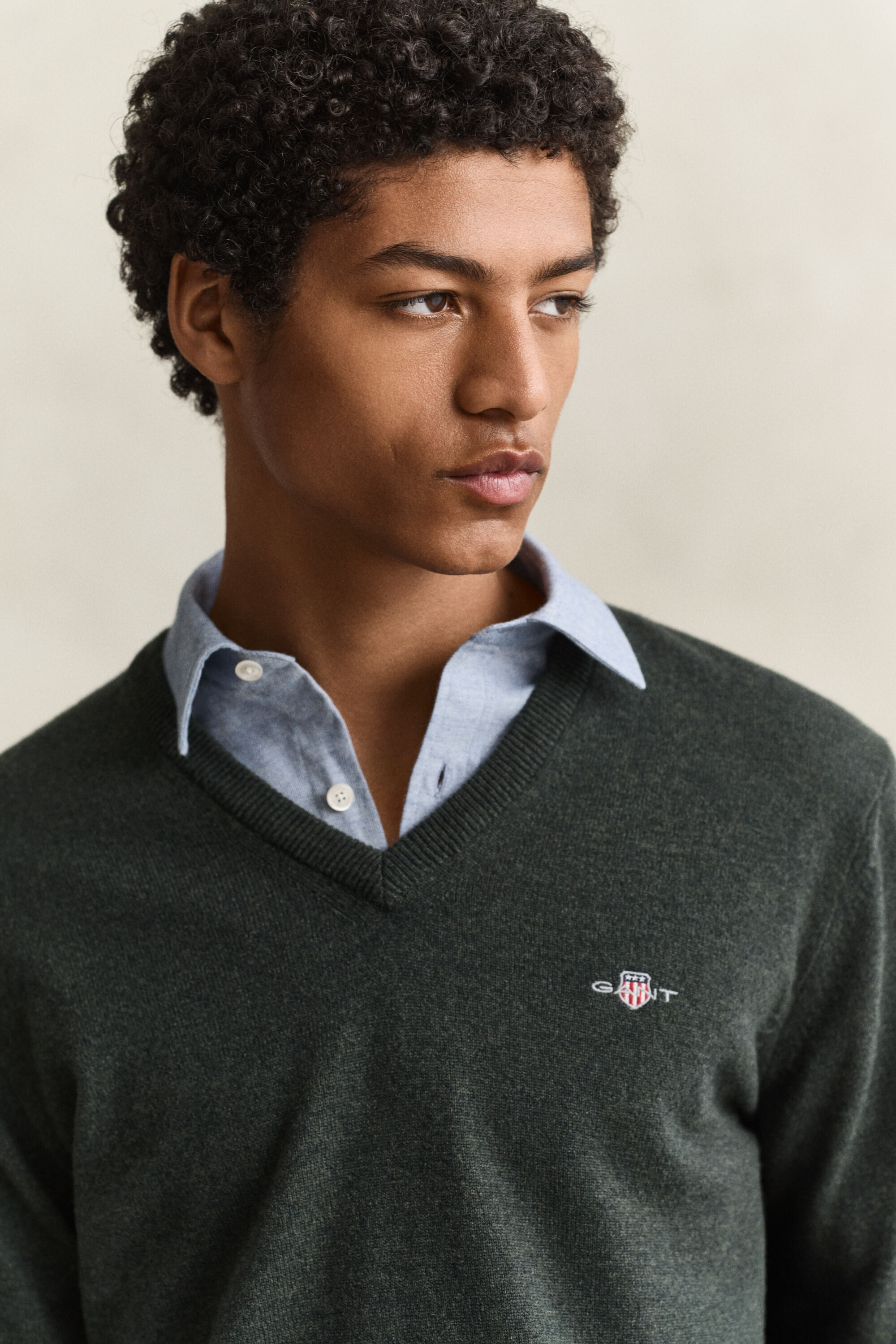 Sweater med V-hals i lammeuld