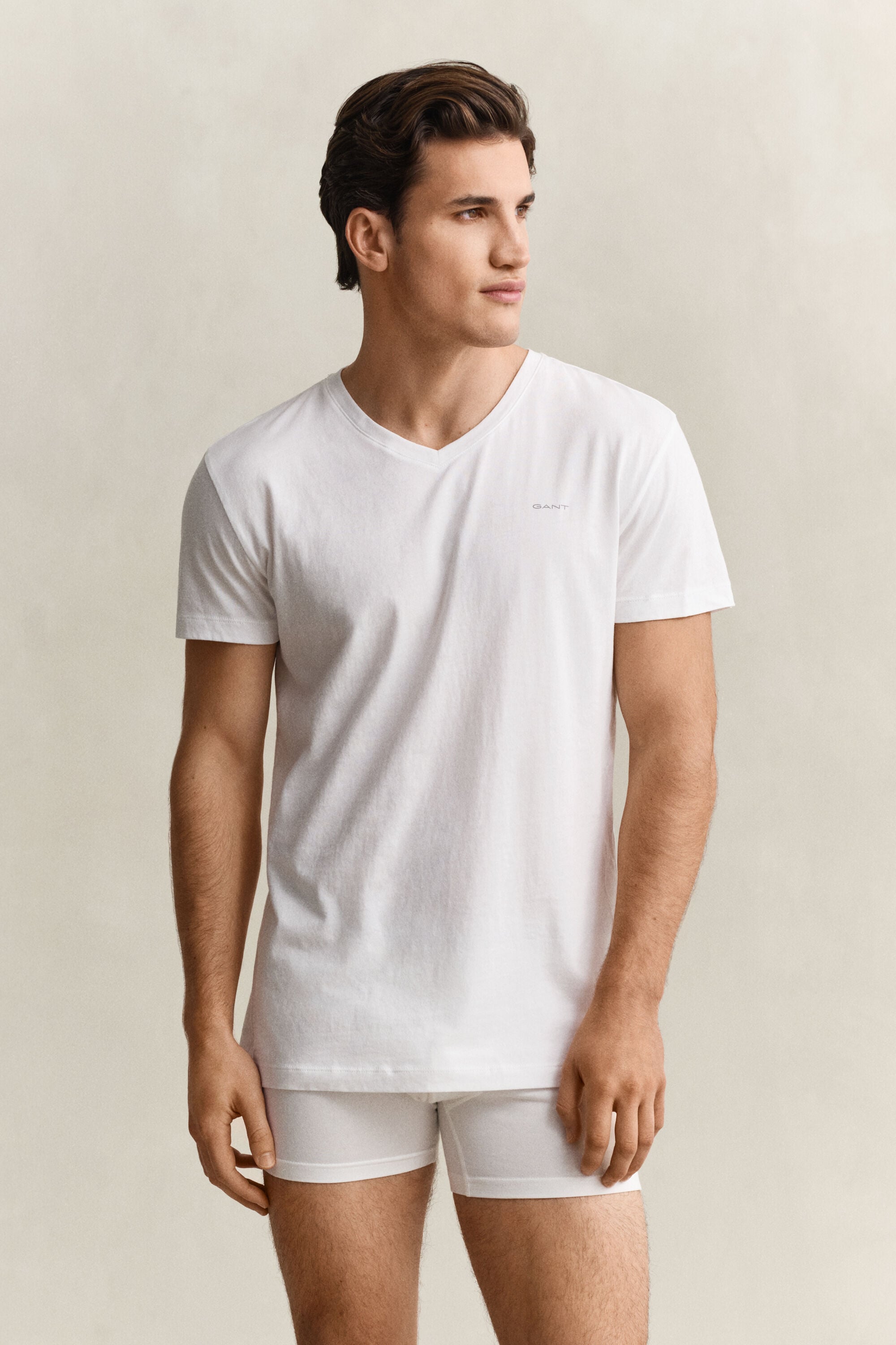 2-Pack T-shirts med V-hals