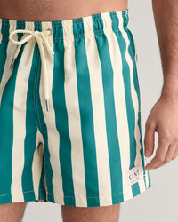 Block Striped Swim Shorts