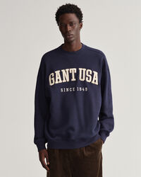 USA Graphic sweatshirt med crewneck