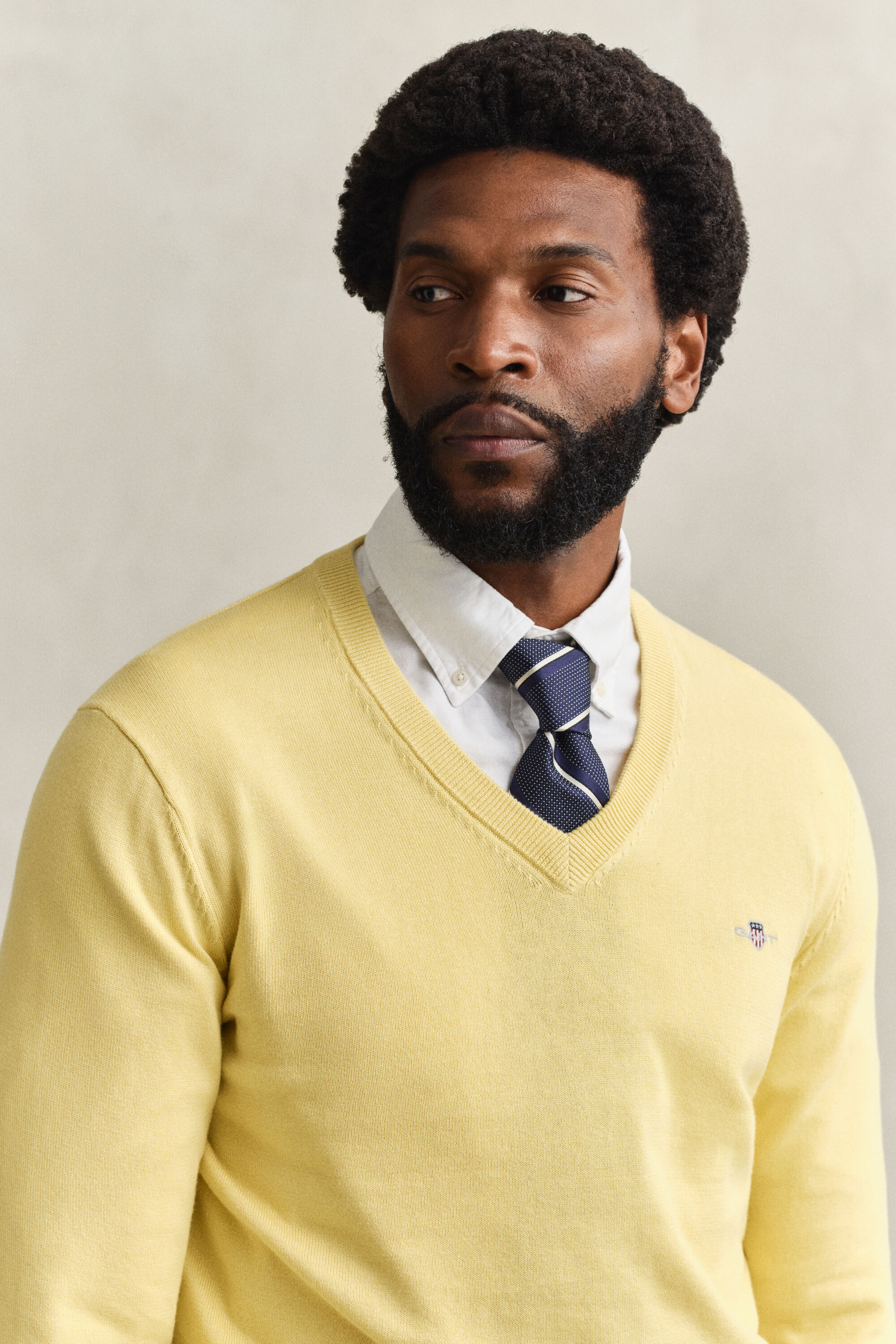 Klassiske sweater i bomuld med V-hals